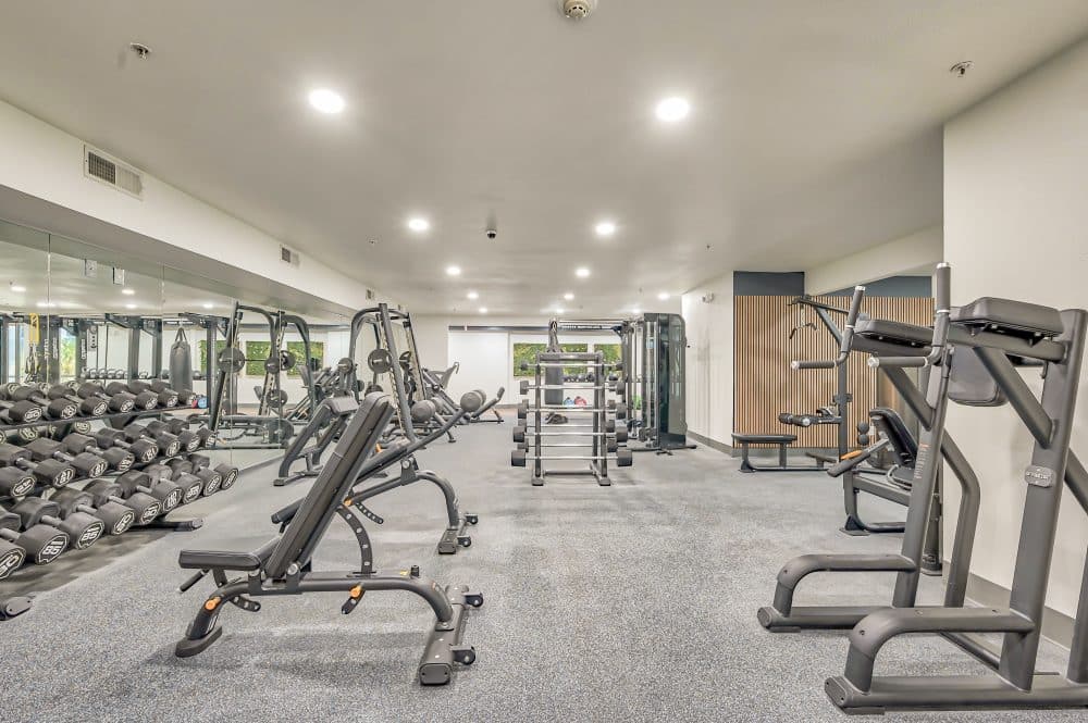 fitness room with bench, dumbells, and machines